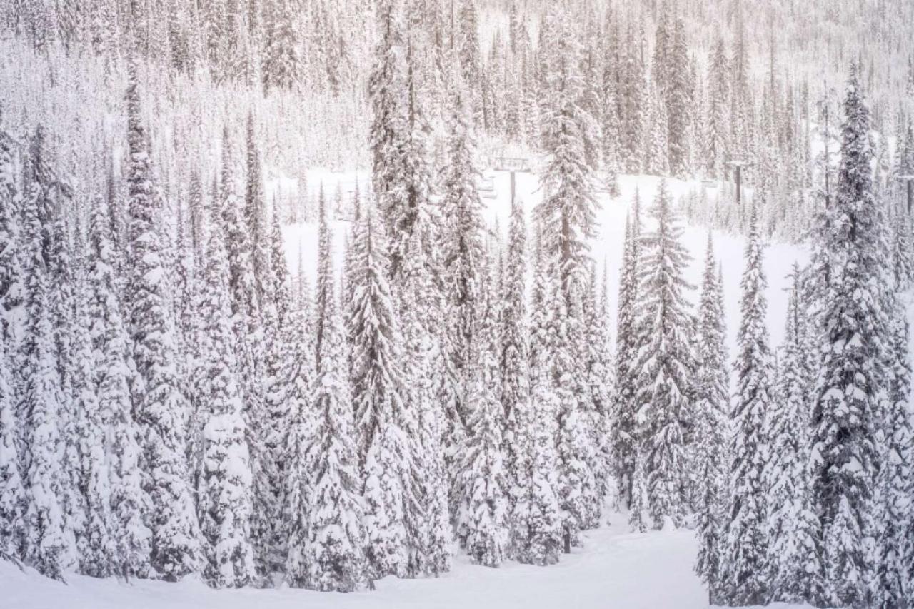 Villa Shadowbrook 303 Snowmass Village Esterno foto